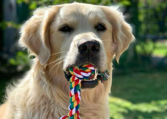 Apartment Family In Bleyen-genschmar *