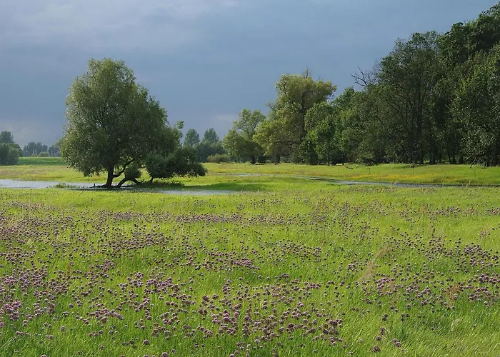아파트 Family In Bleyen-genschmar *